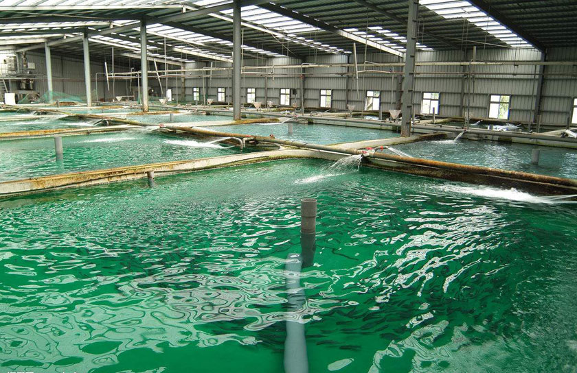 莱州三山岛养殖厂