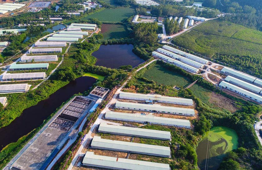 宁夏某奶牛场养殖厂